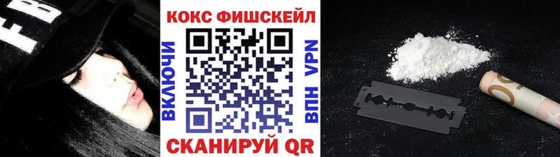 Купить где  Анжеро-Судженск  COCAIN FishScale 