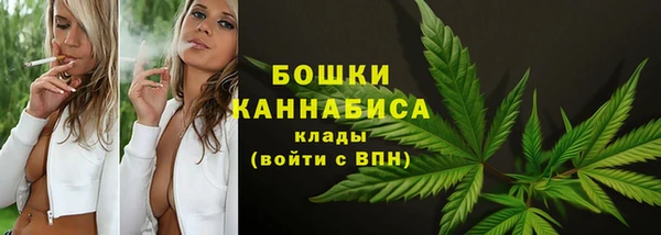амф Лабытнанги