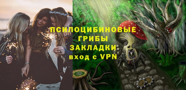 амф Лабытнанги