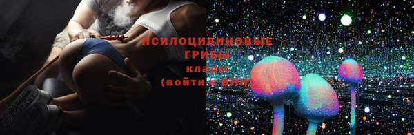 первитин Ладушкин